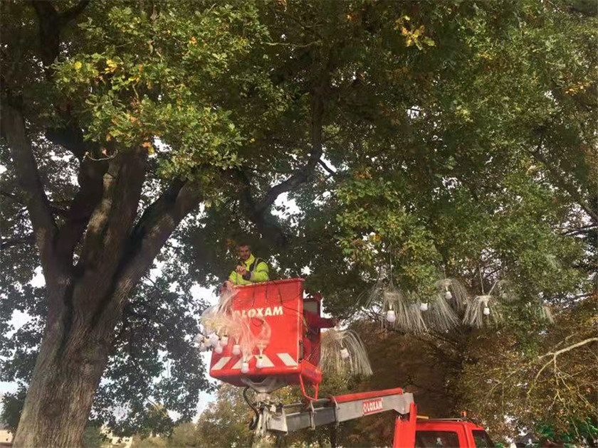 2019法國項目-水母燈安裝